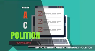 Understanding the Role and Responsibilities of a C-Level Position