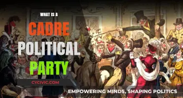 Understanding Cadre Political Parties: Structure, Role, and Influence Explained
