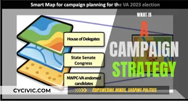 Campaign Strategies: Crafting a Winning Election Plan