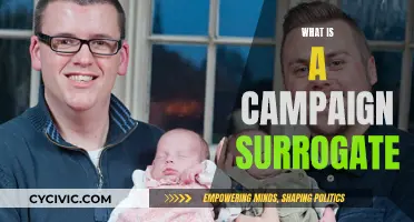 Who Are Campaign Surrogates and Why They Matter