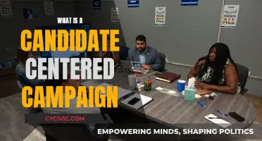 The Key to Successful Campaigns: Candidate-Centric Strategies
