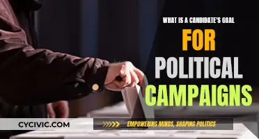 A Candidate's True North: Political Campaign Goals