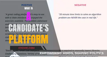 Understanding Candidate Platforms: What Are They Promising?