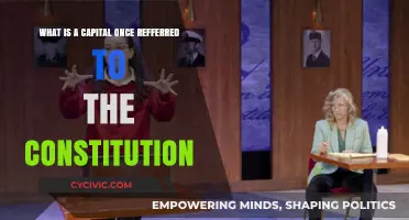 The Constitution: What Does Capital Mean?