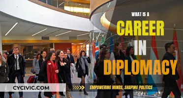 Diplomacy as a Career: Serving Your Country Globally