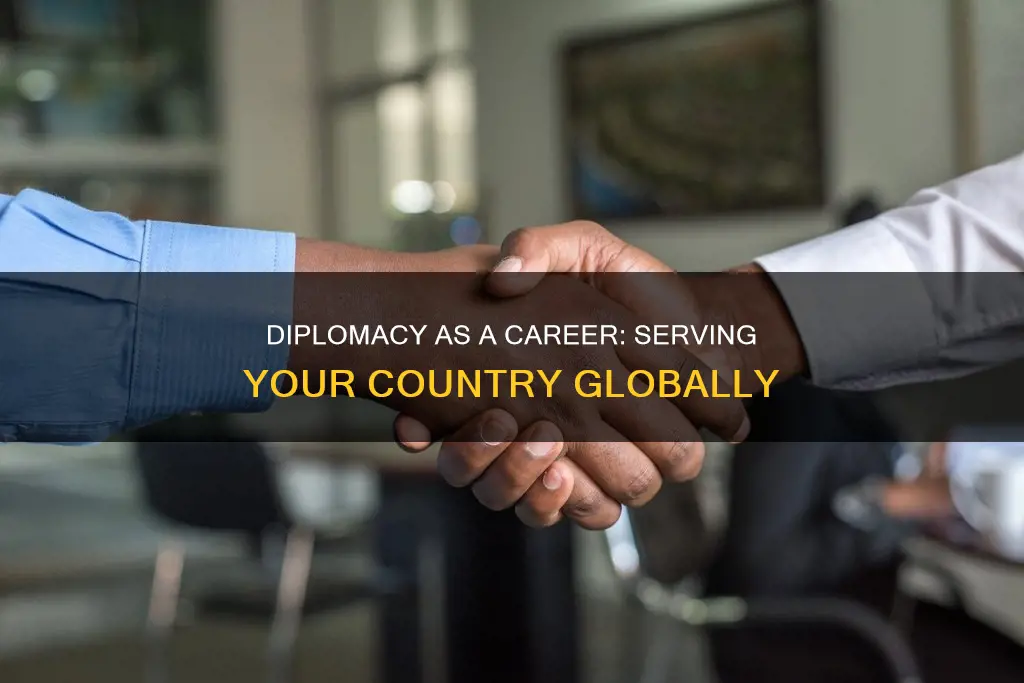 what is a career in diplomacy