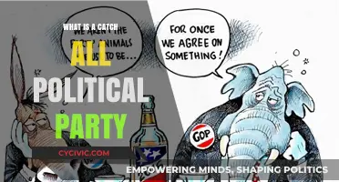 Understanding Catch-All Political Parties: Definition, Role, and Modern Impact