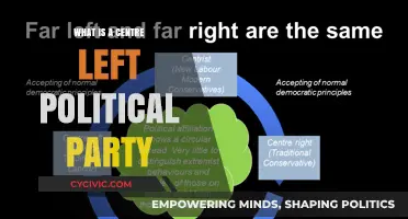 Understanding Centre-Left Politics: Ideologies, Policies, and Global Influence