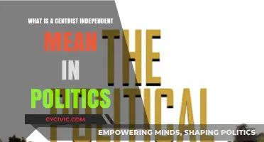 Understanding Centrism: What Does 'Centrist Independent' Mean in Politics?