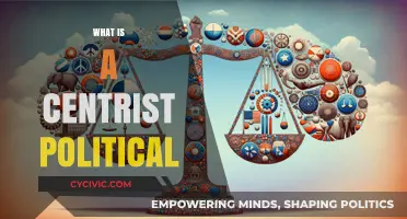 Understanding Centrism: Balanced Politics Beyond Left and Right Ideologies