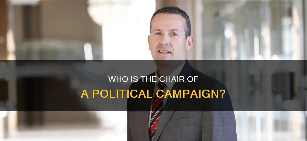 what is a chair of a political campaign