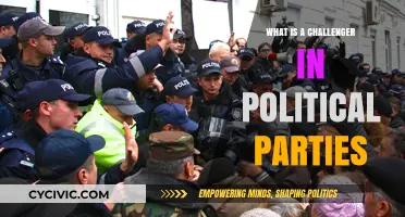 Understanding the Role of Challengers in Political Party Dynamics