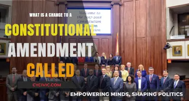 Understanding Constitutional Amendment Changes