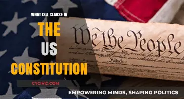 The US Constitution: Understanding Its Clauses