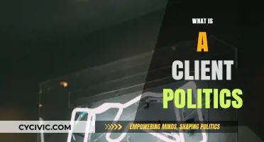 Understanding Client Politics: Strategies, Influence, and Power Dynamics Explained