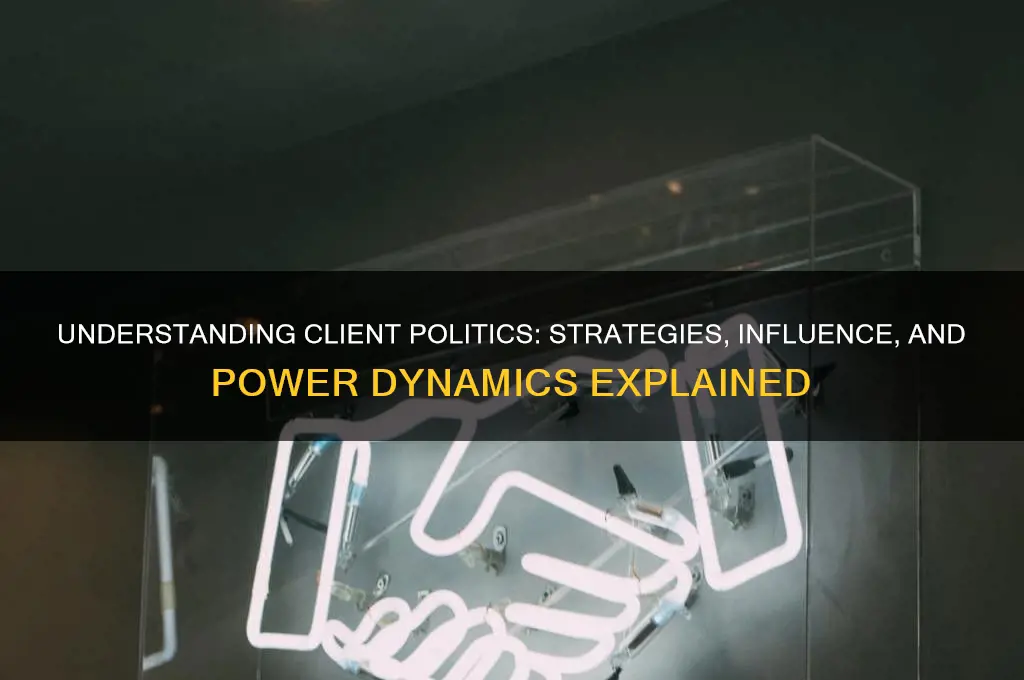 what is a client politics