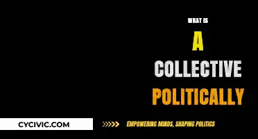 Understanding Collective Political Action: Power, Unity, and Social Change Explained