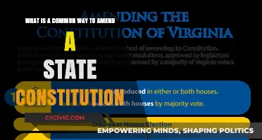 Amending State Constitutions: A Common Pathway for Change