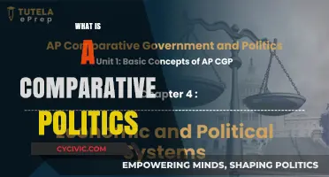 Understanding Comparative Politics: Analyzing Global Political Systems and Structures