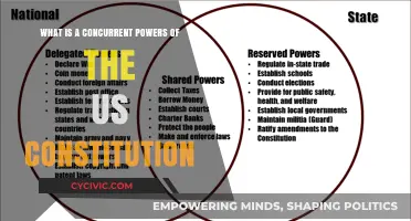 Concurrent Powers: Shared Responsibilities of US Federal and State Governments