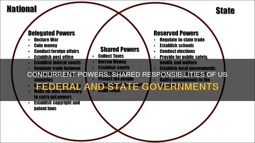 what is a concurrent powers of the us constitution