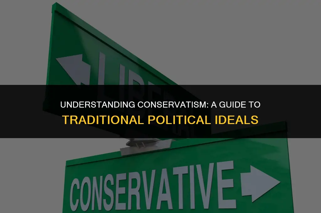 what is a conservative political view
