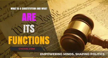 Understanding the Constitution: Its Role and Functions