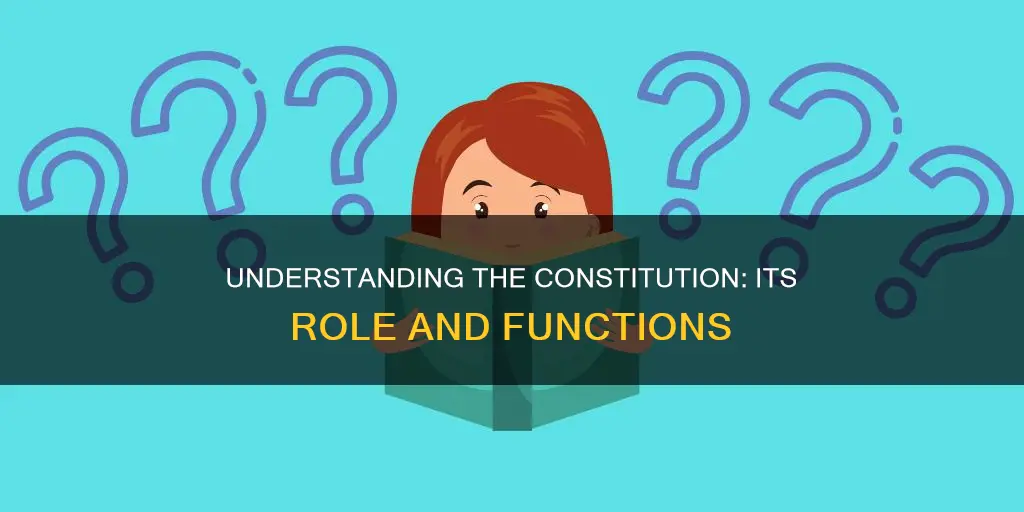 what is a constitution and what are its functions
