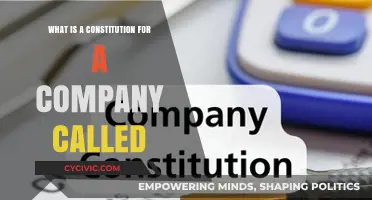 Company Constitution: A Guide to Business Success