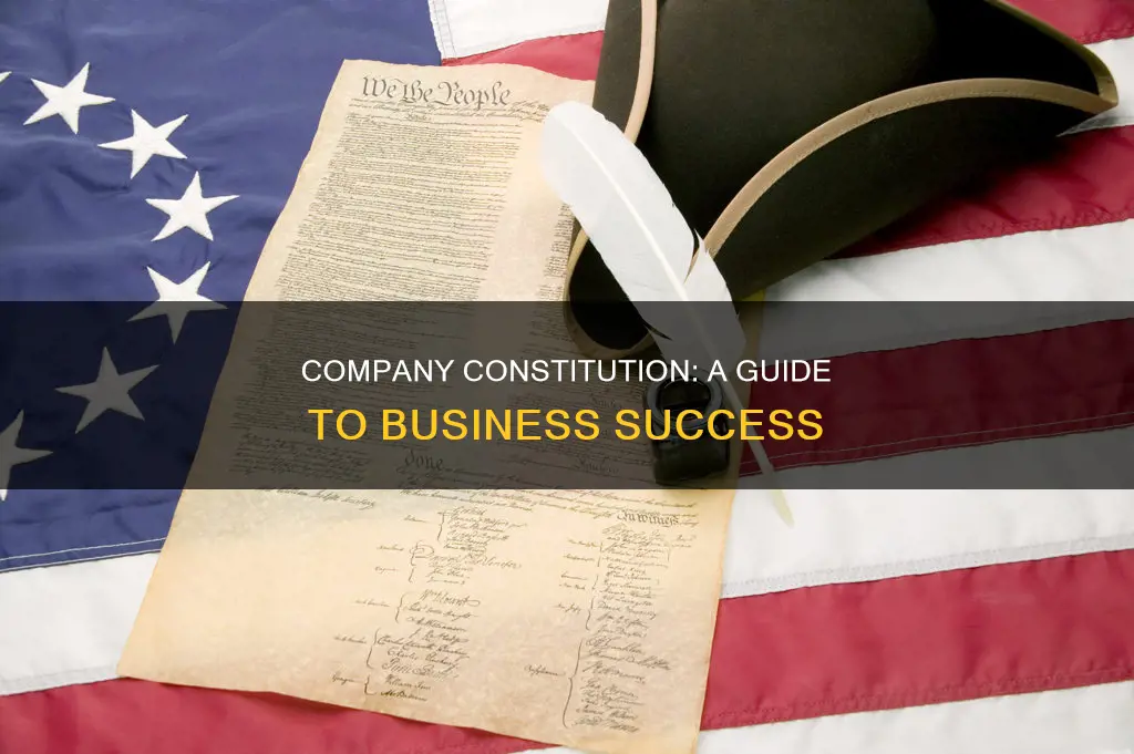 what is a constitution for a company called
