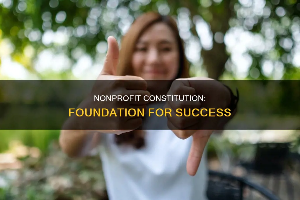 what is a constitution for a nonprofit organization