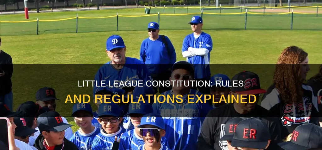 what is a constitution for little league is