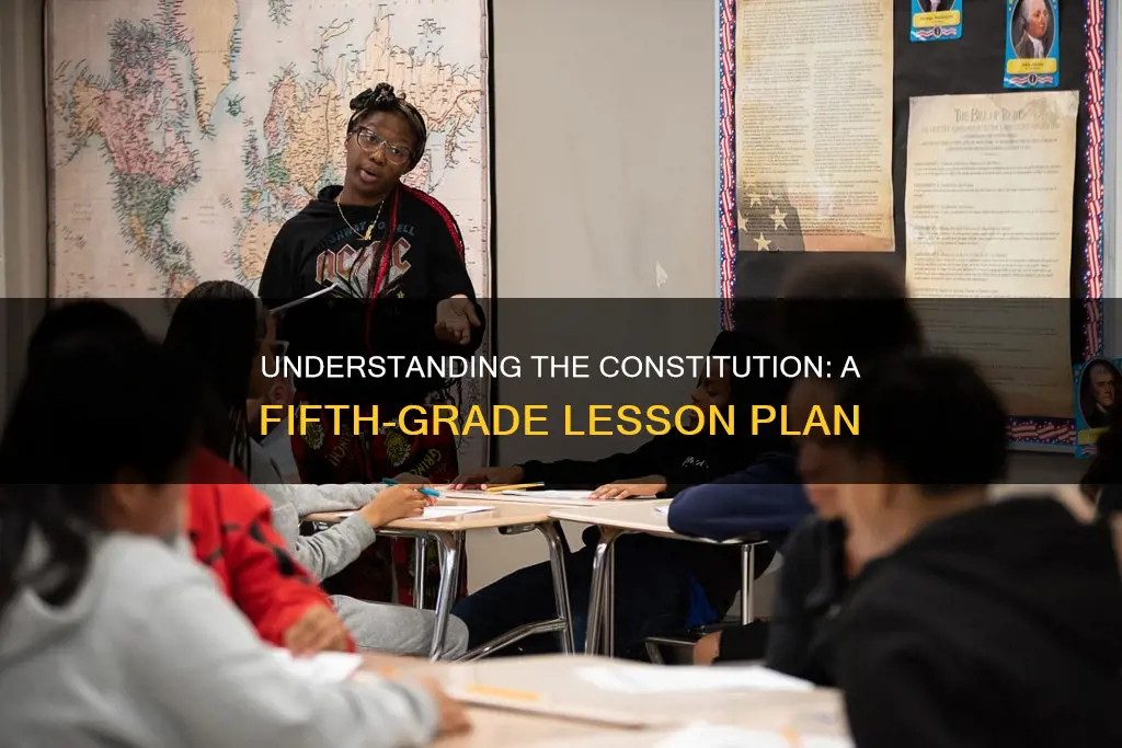 what is a constitution lesson plan 5th grade