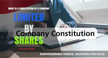 Understanding Company Constitutions: Shares and Their Limits