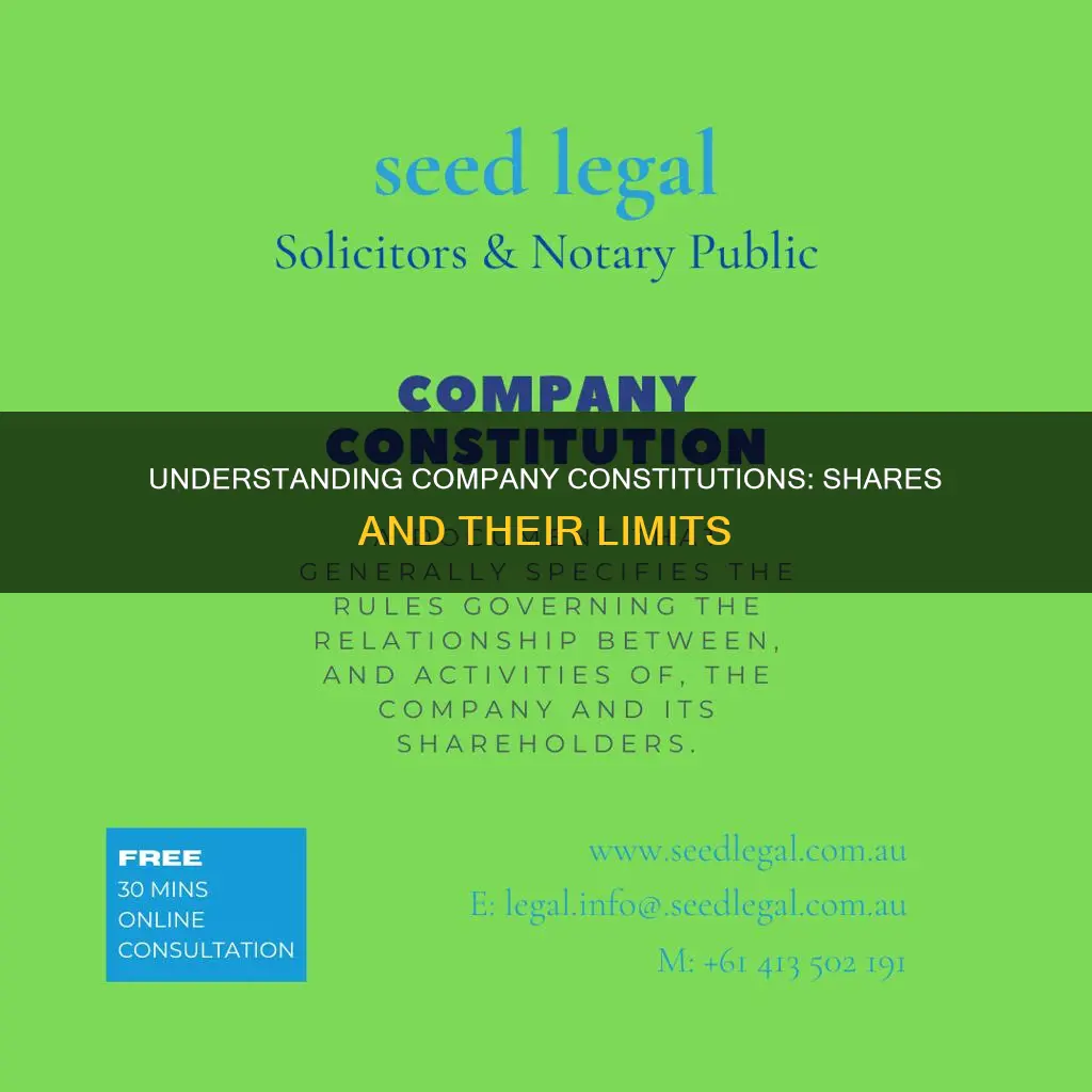 what is a constitution of a company limited by shares