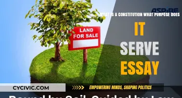 Understanding the Constitution: Its Purpose and Role