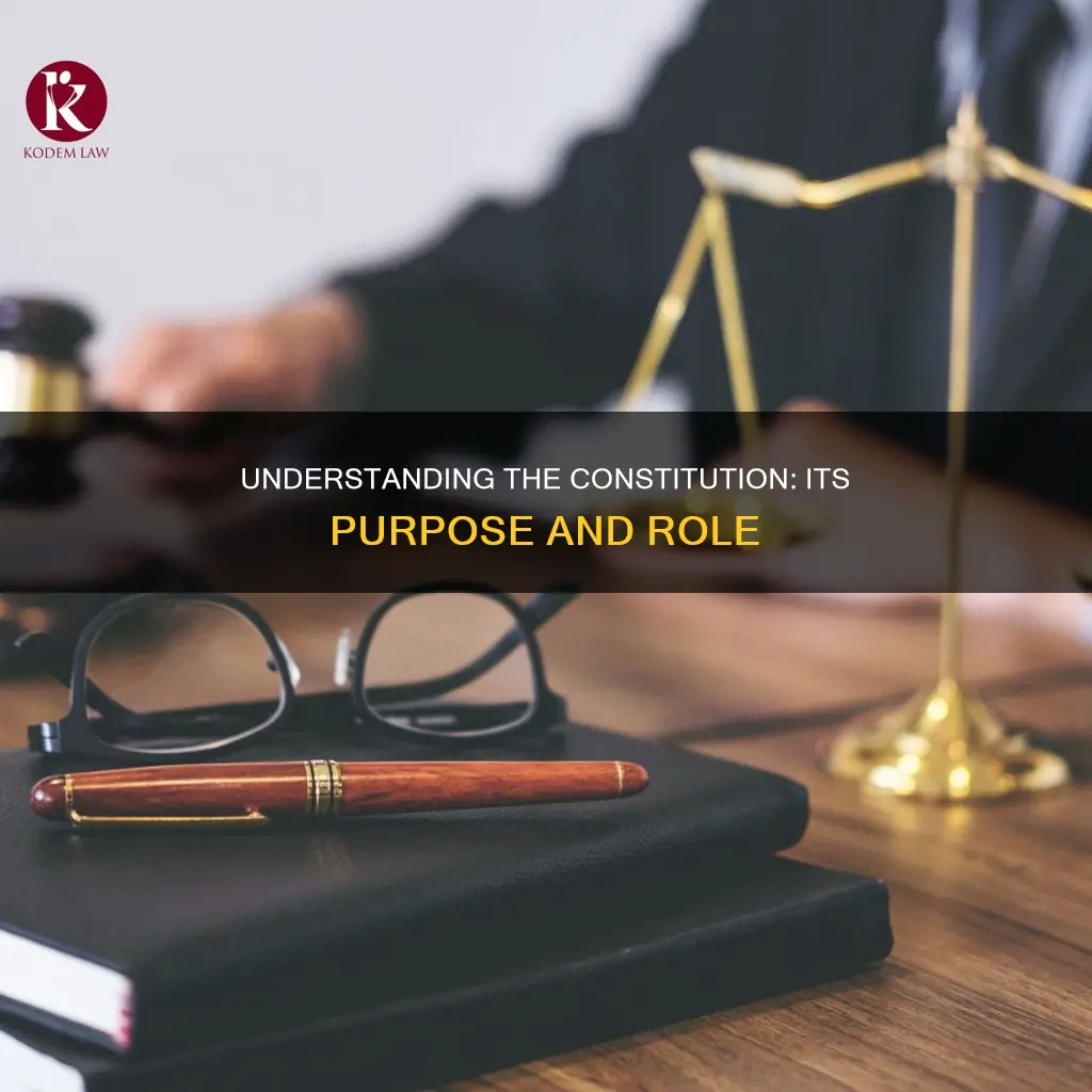 what is a constitution what purpose does it serve essay