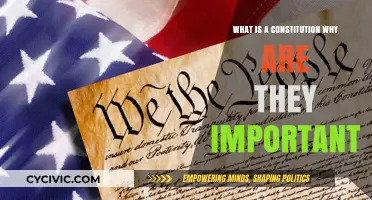 Understanding Constitutions: Why They Matter