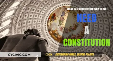 Understanding the Constitution: Why It Matters