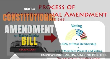 Amending the Constitution: Understanding Amendment Bills