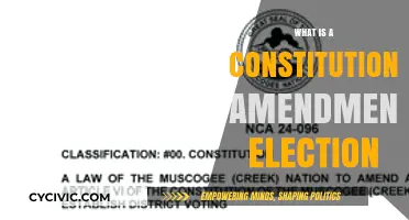 Understanding Constitutional Amendment Elections