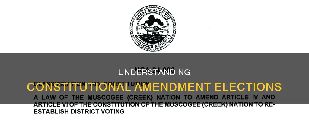 what is a constitutional amendment election