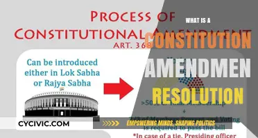 Amending the Constitution: Resolution Explained