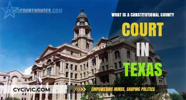 Texas's Constitutional County Courts: What Are They?