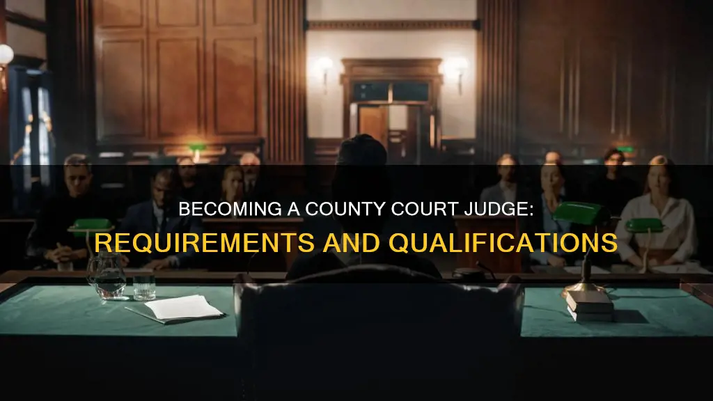 what is a constitutional county court judge requirements