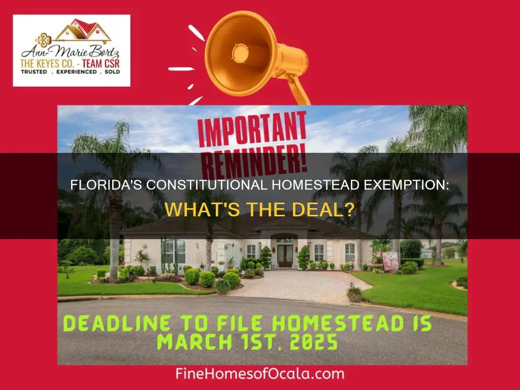 what is a constitutional homestead exemption in florida