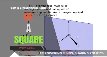 Square's Constitutional Isomers: What Are They?