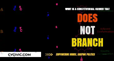 Unveiling Unbranched Isomer Structures: Constitutional Complexity