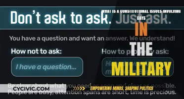 Gay Rights in the Military: Constitutional Battle