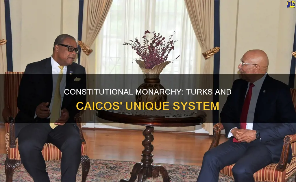 what is a constitutional monarchy of turks and caicos
